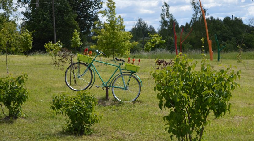 Līksnas muižas parks (Līksnas takas)