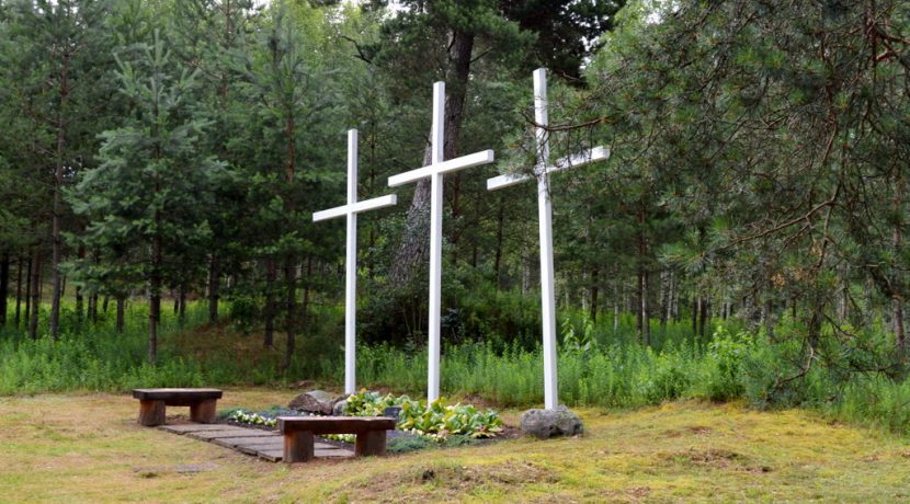 WZGÓRZE ZAMKOWE I ŚCIEŻKA POZNAWCZA MARKOVAS