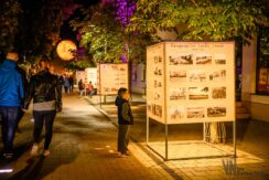 Rīgas Street – Walking Street