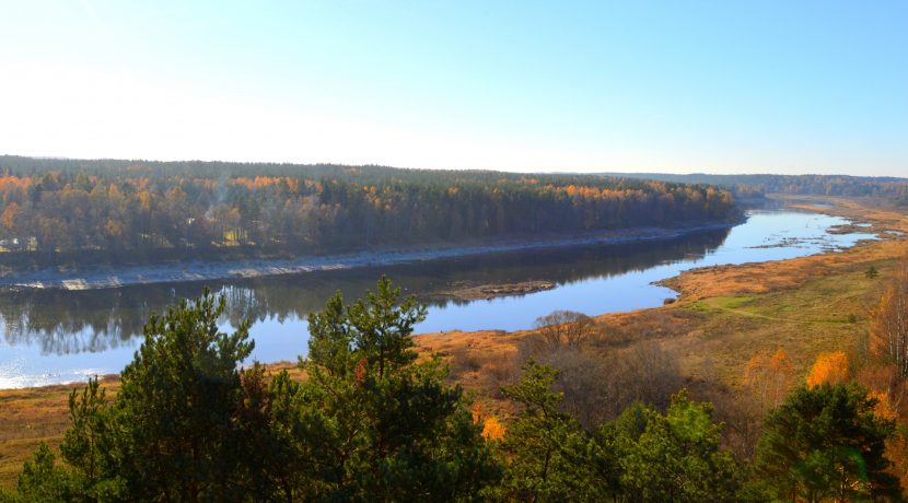 AUSSICHTSTURM VASARGELIŠĶI