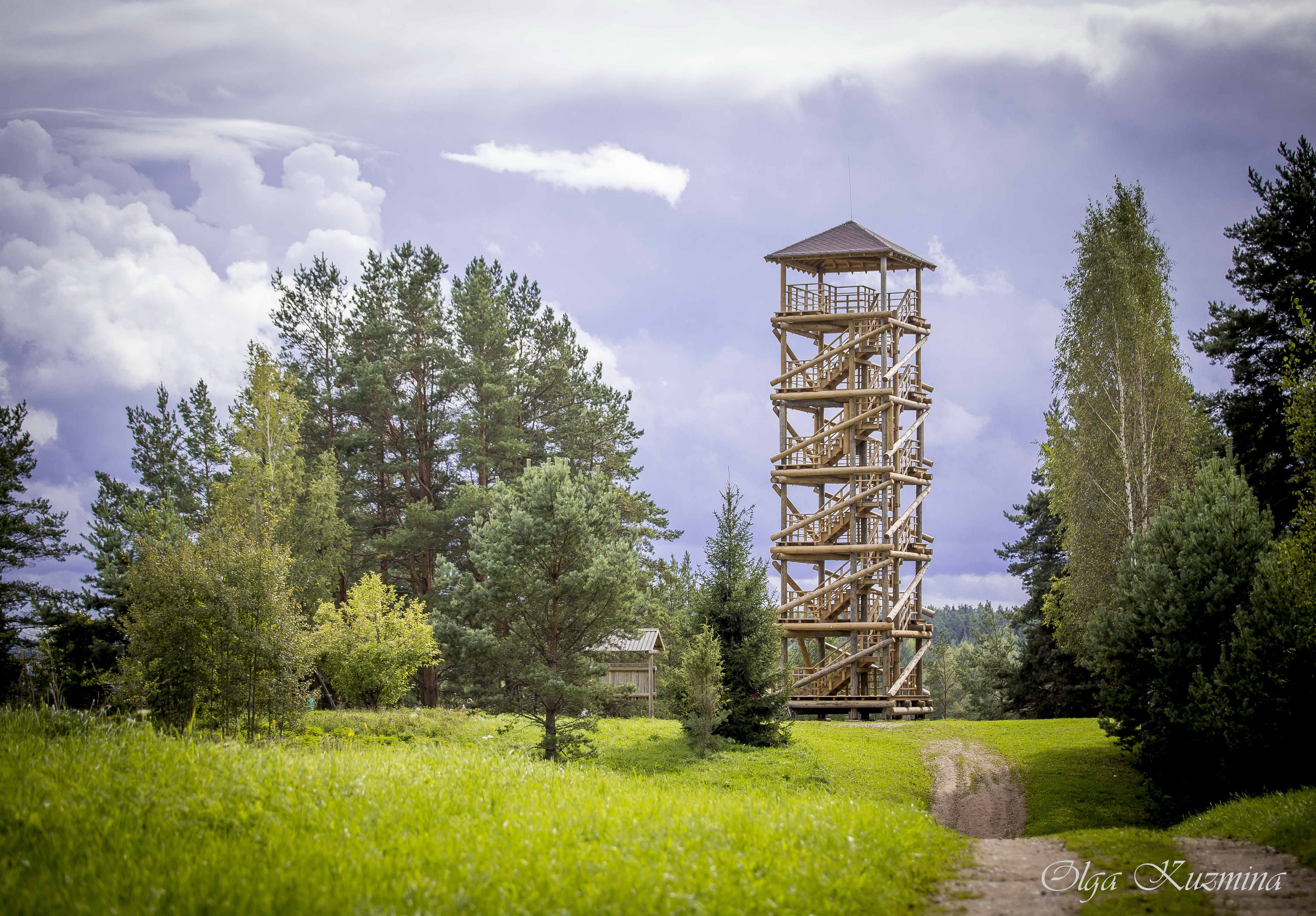 Sightseeing Tower in Vasargeliski