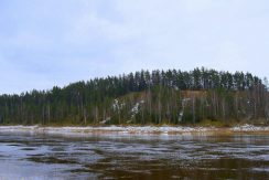 «Ворота Даугавы» (Слутишкский и Верверский обрывы)