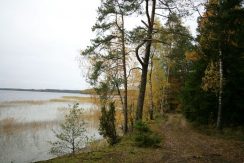 PARK PRZYRODNICZY „SILENE”