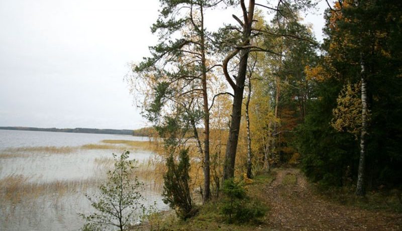 PARK PRZYRODNICZY „SILENE”