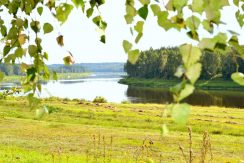 PARK PRZYRODNICZY „DAUGAVAS LOKI”