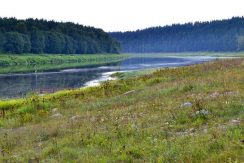 Nature Park “Daugavas Loki”