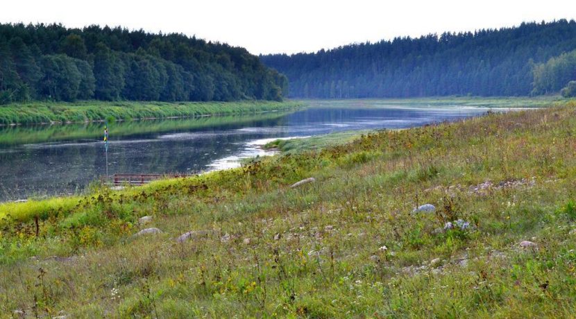 Природный парк «Daugavas loki»