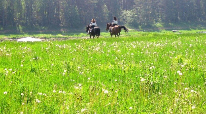 Nature Park “Daugavas Loki”