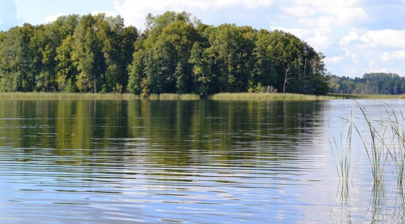 PARK PRZYRODNICZY „MEDUMU EZERAINE”