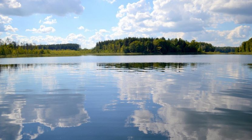 Medumi Lake’s Nature Park