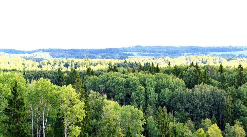 Recreation place on the hill Egļu kalns