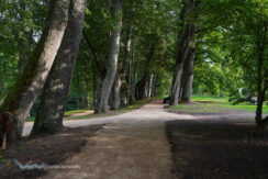 Līksnas muižas parks (Līksnas takas)