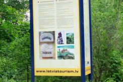 Markova Mound and Cognitive Trail