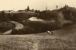 Markova Mound and Cognitive Trail