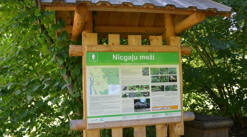 WIELKI GŁAZ NĪCGALES