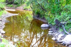 Pogulanka (Saliena) River and arch-shaped stone bridge