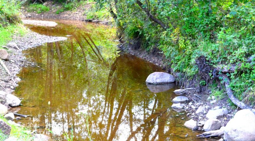 Pogulanka (Saliena) River and arch-shaped stone bridge