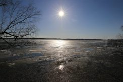 Lake Rici and Perkule Scarp