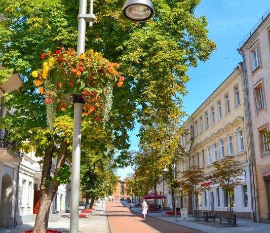 Rīgas Street – Walking Street