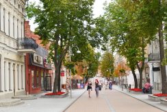 Rīgas gatvė – pėsčiųjų alėja
