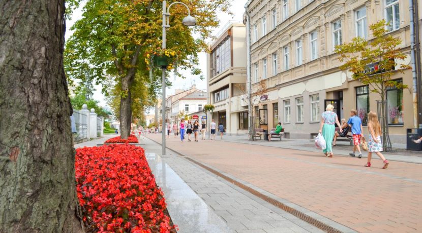 Rīgas gatvė – pėsčiųjų alėja