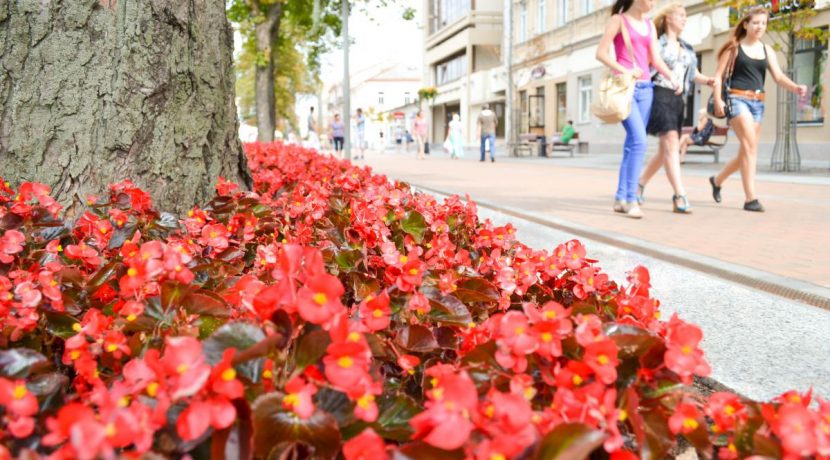 Rīgas Street – Walking Street