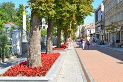 Rīgas Street – Walking Street