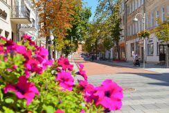 Rīgas Street – Walking Street