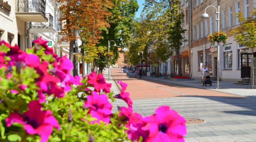 Rīgas Street – Walking Street