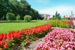 Sculpture Garden