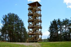 Sightseeing Tower in Vasargeliski