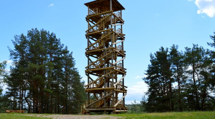 Sightseeing Tower in Vasargeliski