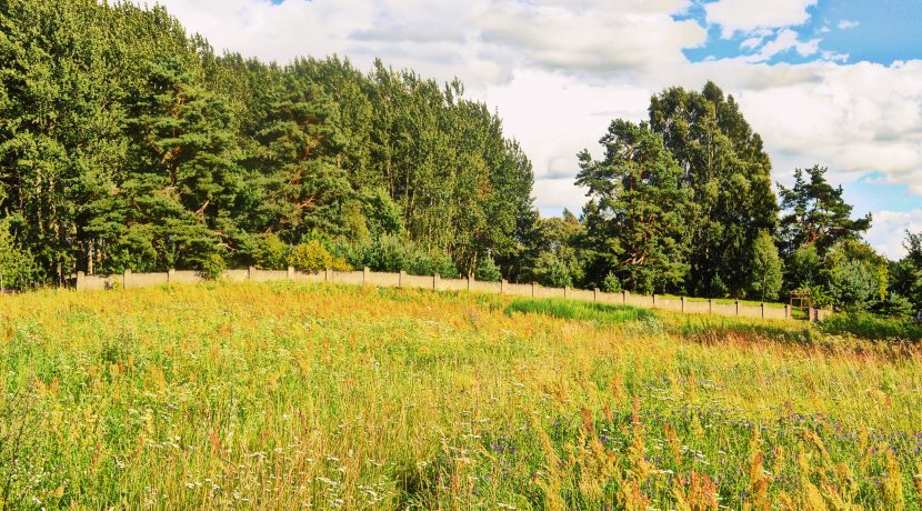 Viškių žydų kemeterija