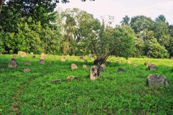 The Jewish Cemetery in Viski