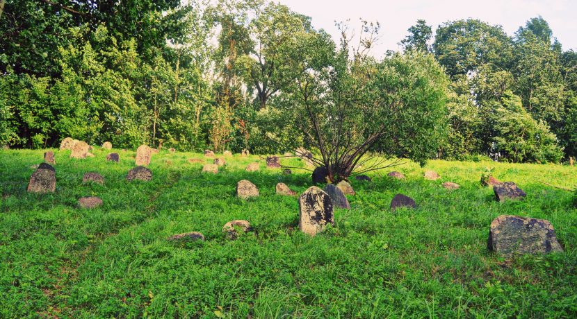 The Jewish Cemetery in Viski