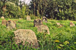 The Jewish Cemetery in Viski