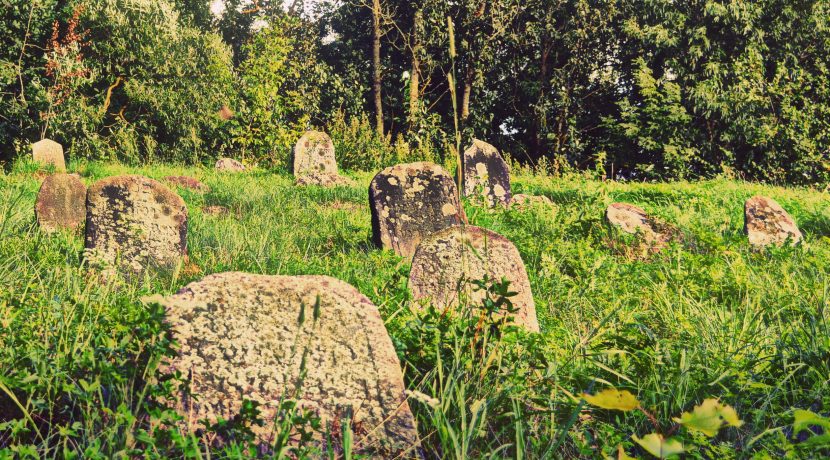 Еврейское кладбище в Вишках