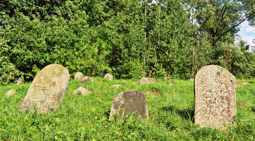 Еврейское кладбище в Вишках