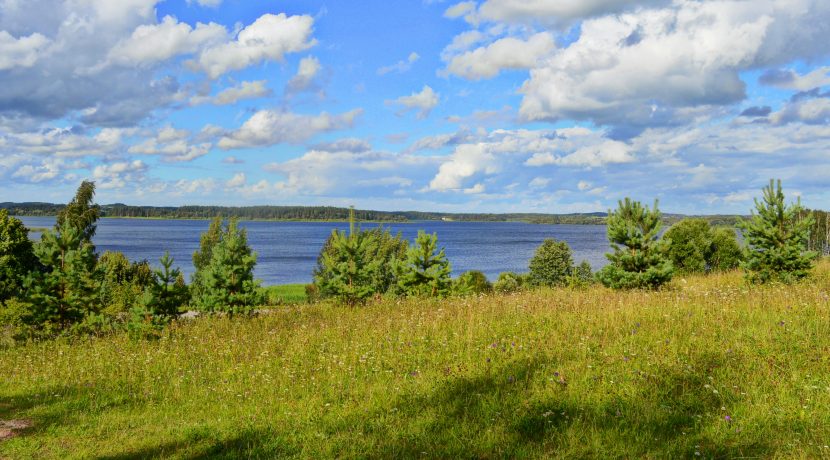 Городище в Масковской