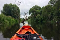 Kayak rental in Daugavpils