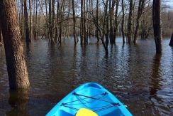 Kayak rental in Daugavpils