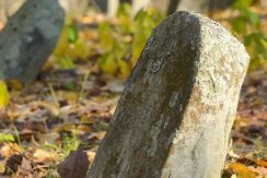 The Jewish Cemetery in Viski