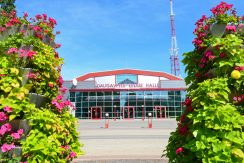 DAUGAVPILS ICE HALL