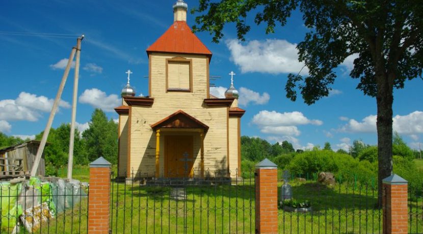Православная церковь Петра и Павла в Данишевке