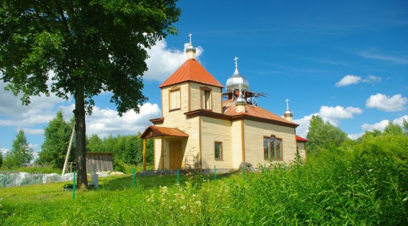 Православная церковь Петра и Павла в Данишевке