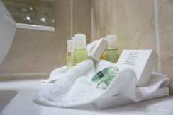 Hotel „Villa Ksenija”****