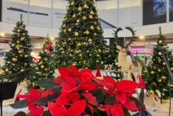 Tirdzniecības un izklaides centrs “DITTON” 