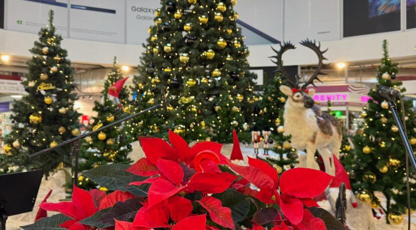 Tirdzniecības un izklaides centrs “DITTON” 