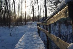 Purlande Nature Trail of Eastern Selia