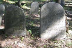 The Jewish Cemetery in Viski